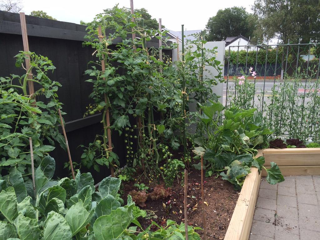 כרייסטצ'רץ' Garden Bed And Breakfast מראה חיצוני תמונה