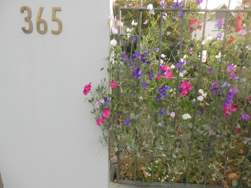 כרייסטצ'רץ' Garden Bed And Breakfast מראה חיצוני תמונה
