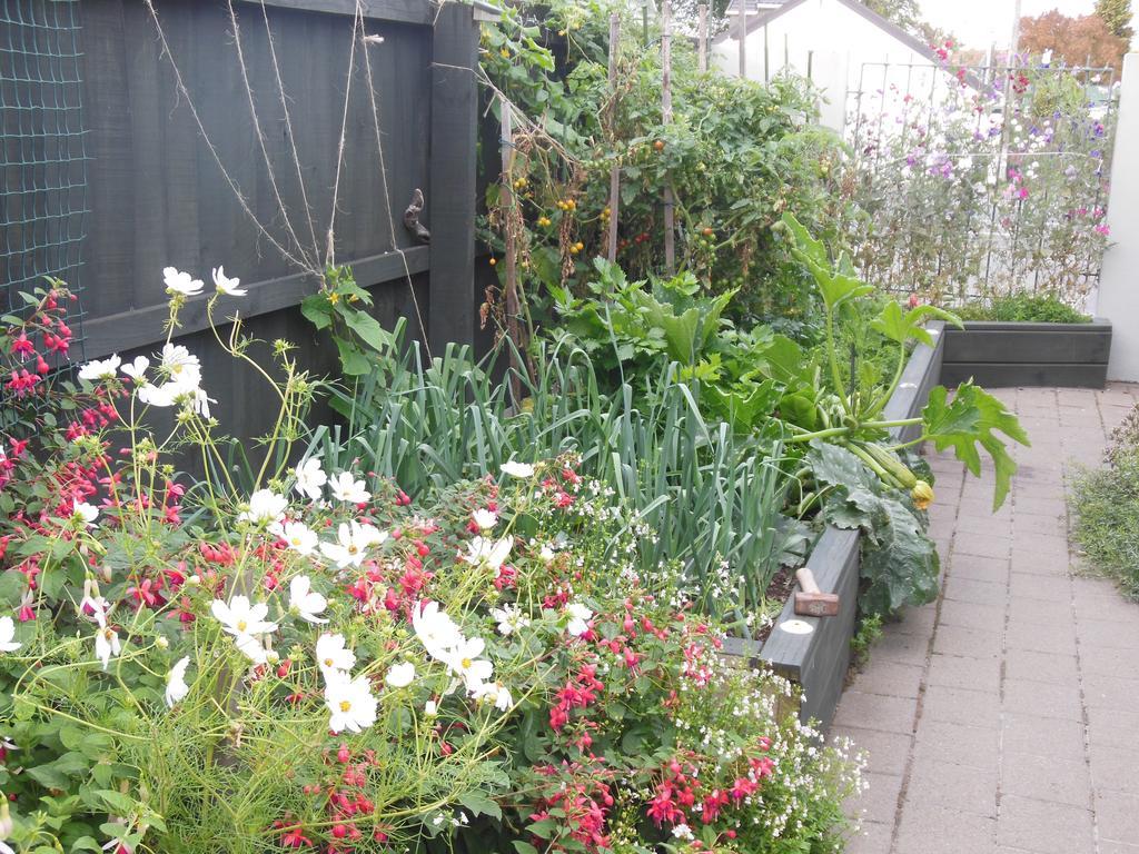 כרייסטצ'רץ' Garden Bed And Breakfast מראה חיצוני תמונה